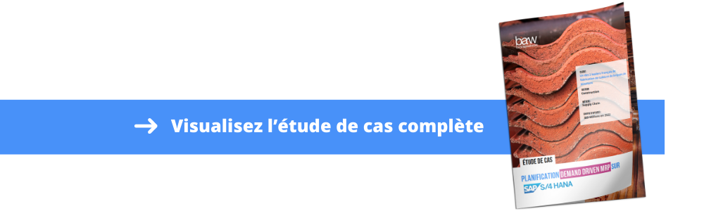 Visualisez-Etude de cas- BAW-DDMRP-S4HANA