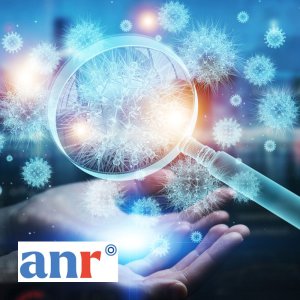 Intégration fluide des données comptables de l'ANR avec la solution InfiConnect